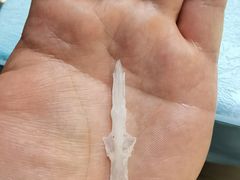 -干老四雅鱼饭店(滨江西路店)