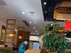大堂-大鸽饭(马王堆店)