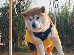 -omitofee咖啡(水泽店)