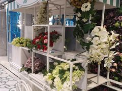 -彩福皇宴(皇室堡店)
