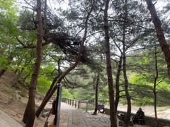 -无染寺