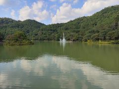 -广州白江湖森林公园