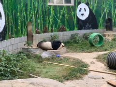 -南昌动物园