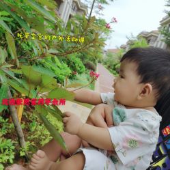 -安恩宝月子会所(北流店)