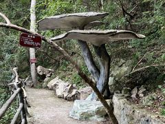 -磐安十八涡风景区