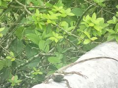 -重庆云阳龙缸景区