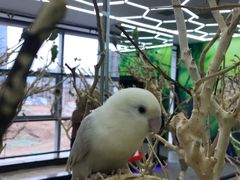 -昆明大悦城未来动物城(螺蛳湾中心店)