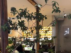 -本处·素食·融合料理(南油店)