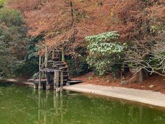 -深圳国际园林花卉博览园