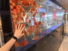 -玲珑汤泉生活会馆(花桥店)