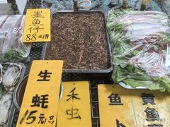 -寻味顺德·南记酒家·传统顺德菜·鱼生(广源路店)