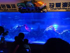 -成都浩海立方海洋公园