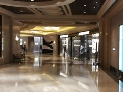 -影汇之星8字形摩天轮