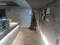 -浣熊柯尔鸭土拨鼠·电玩咖