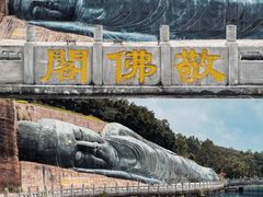 -三水森林公园