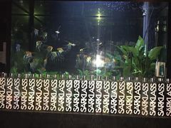 -Strawberry Butterfly草莓蝴蝶日式水果挞