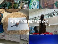 -天津自然博物馆