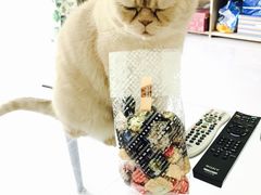 -VENCHI 闻绮(北京国贸商城店)