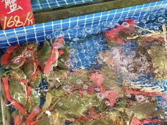 -红月湾海鲜饭店•沙滩海景(双月湾店)