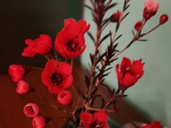 -旺顺阁鱼头泡饼(常营店)