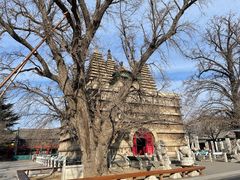 -北京石刻艺术博物馆(五塔寺)
