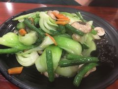 -石锅先生