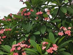 -福田红树林生态公园