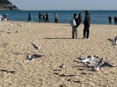 -海云台海滩