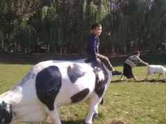 -长白岛森林公园