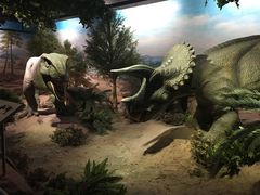 -国家自然博物馆