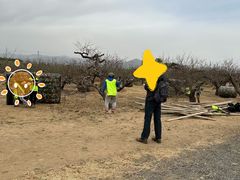 -亲兄弟真人CS团建拓展基地