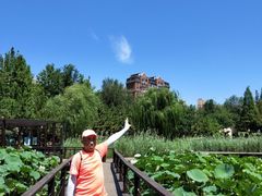 -前关湿地公园