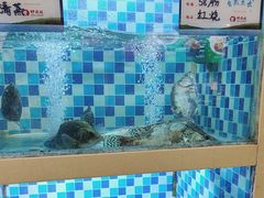 -野渡坡·极致湘菜·庭院餐厅(汉阳店)