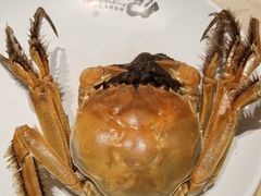 -初色海鲜自助(万丰路店)