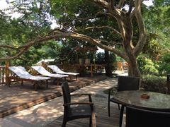 飘雪温泉-黄山温泉国际旅游度假区