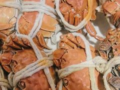-杨氏青龙虾·羊蝎子(托乐嘉店)