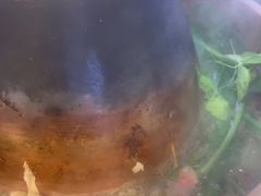 -虾大侠·盱眙龙虾老北京铜锅涮羊肉(金楠天街店)