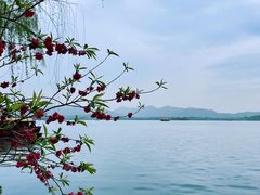 -中国美术学院-美术馆