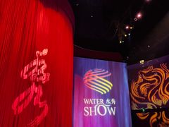 -水秀国际大剧院