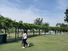 -上海长兴岛郊野公园