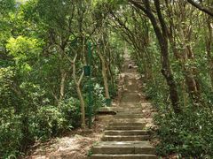 -梧桐山风景名胜区