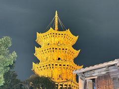 -安海五叔公土笋冻(西街店)