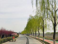 -洨河生态公园