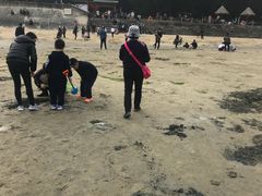 -北海金海湾红树林生态旅游区