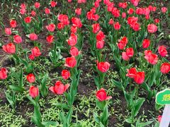 -长春公园(普阳街道)