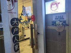 -楼上猫咖(罗湖店)