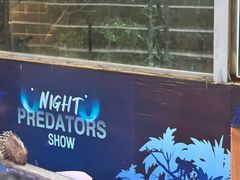 -清迈夜间动物园