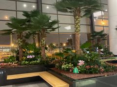 -郑州新郑国际机场-T2航站楼