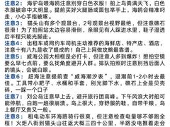 -幸福门
