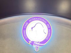 -宠爱国际动物医院·疑难骨科·心肾内科·皮肤科(太阳宫店)